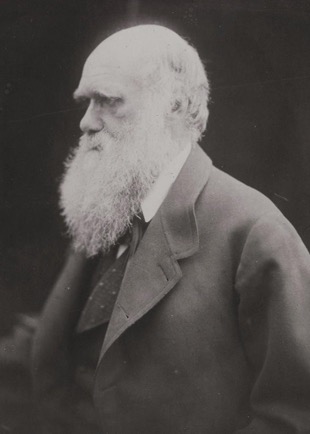 Julia Margaret Cameron, Charles Darwin, Albumen silver print, 1868. Source: UC San Diego via JSTOR.